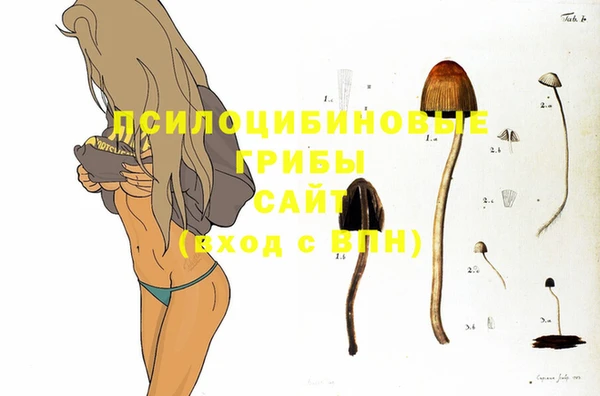 MESCALINE Карталы
