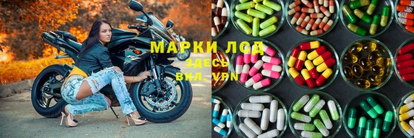 СК Касимов