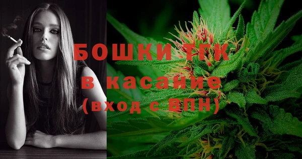 СК Касимов